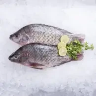 سمك بلطي سوبر (1كجم)